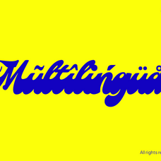 kolta-chunky-script-jolicia-type-13.png