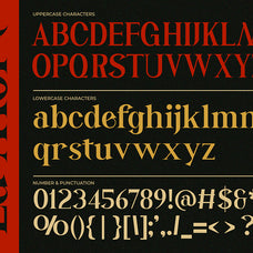 la-mort-dark-display-serif-sixtysix-labs-studio-10.jpg