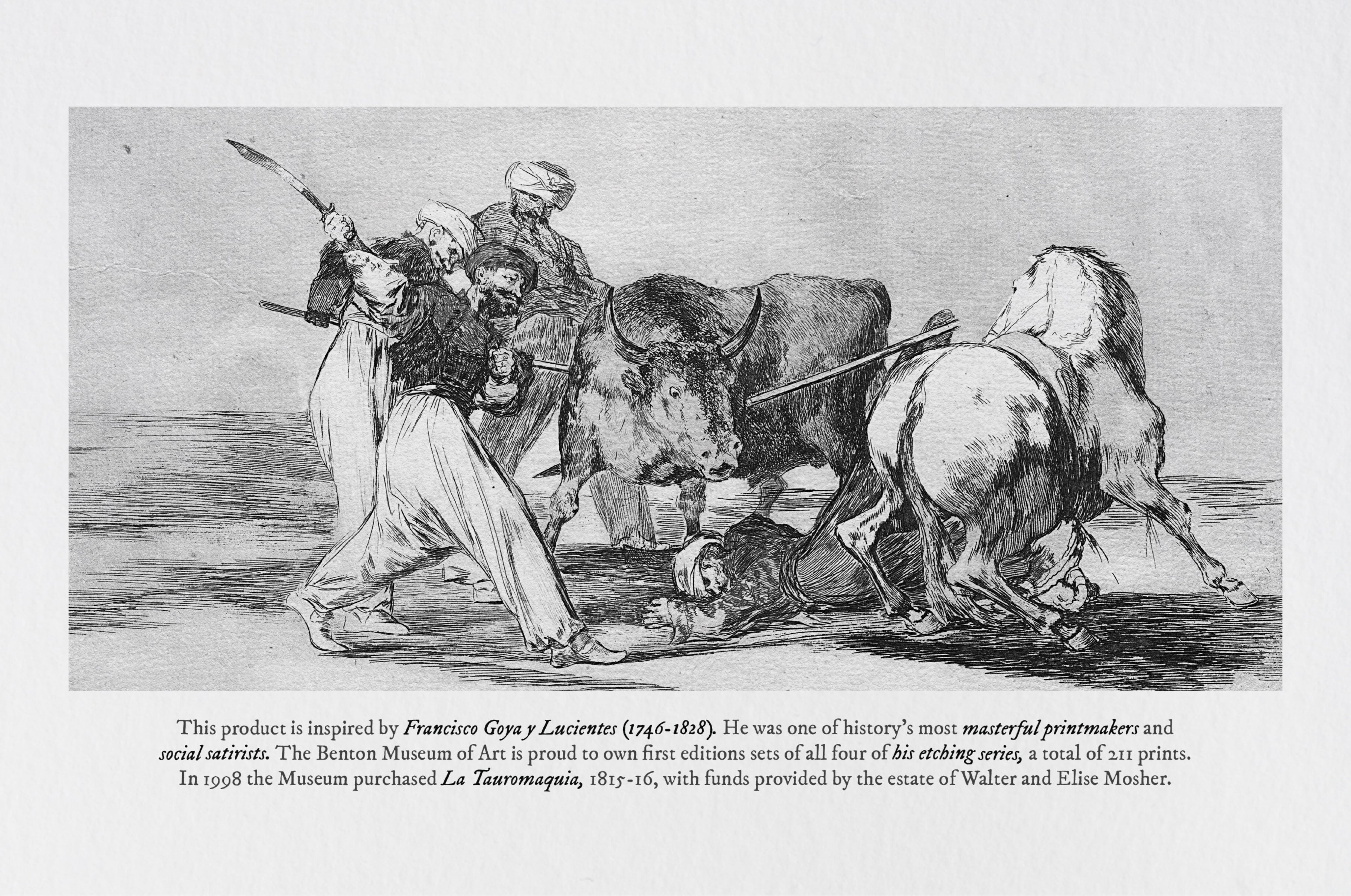 La Tauromaquia Procreate Kit