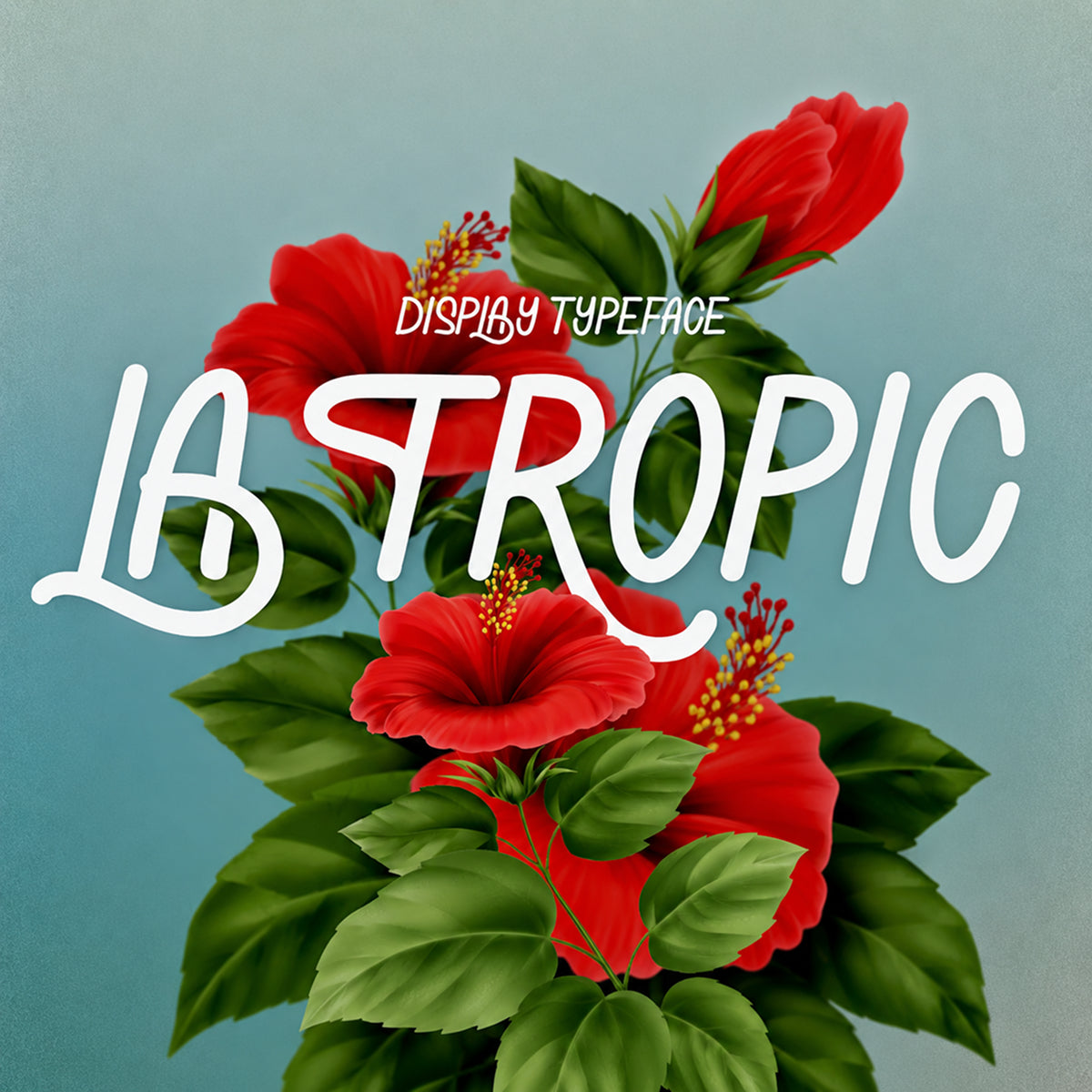 la-tropic-summer-typeface-casloop-studio-1.jpg