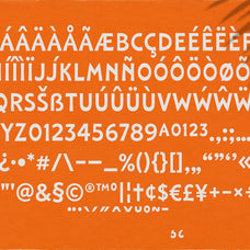 laguna-tropic-tropical-font-duo-edignwn-type-12.jpg