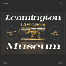 lamna-wide-serif-font-craft-supply-co-3.jpg