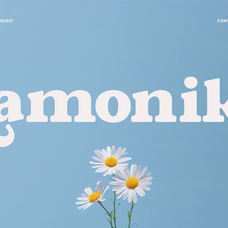 lamonik-modern-display-serif-font-rasio-std-11.png