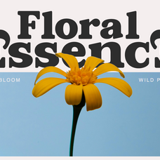 lamonik-modern-display-serif-font-rasio-std-5.png