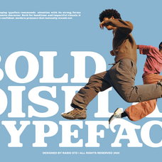 lamonik-modern-display-serif-font-rasio-std-6.png