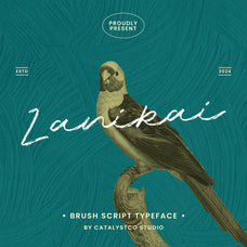 lanikai-brush-script-typeface-font-unknown-creator-1.jpg