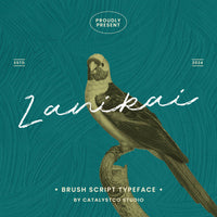 Lanikai Brush Script Typeface Font