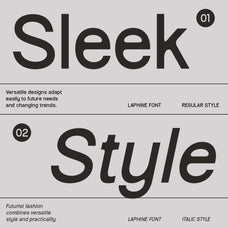 laphine-contemporary-font-craft-supply-co-4.jpg