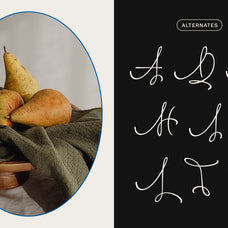 larasita-elegant-artistic-sans-serif-font-vadova-studio-7.jpg