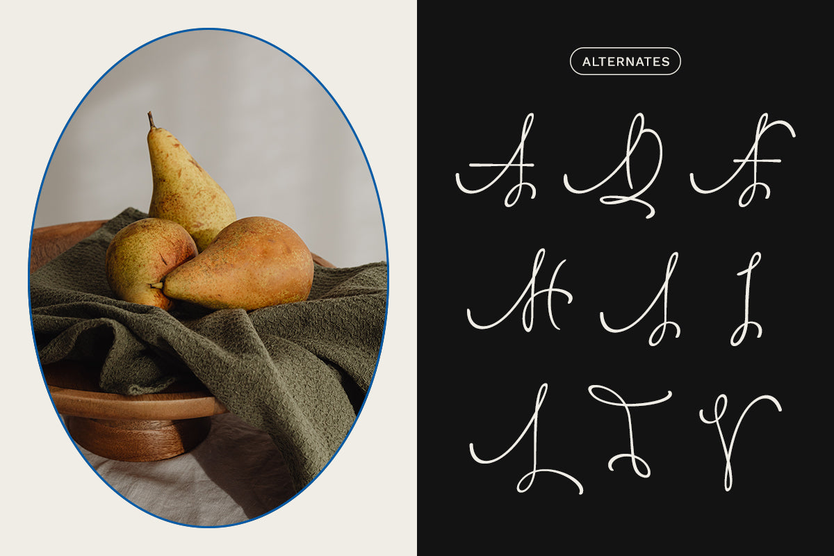 larasita-elegant-artistic-sans-serif-font-vadova-studio-7.jpg