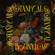 last-royal-stylish-serif-font-say-studio-5.png