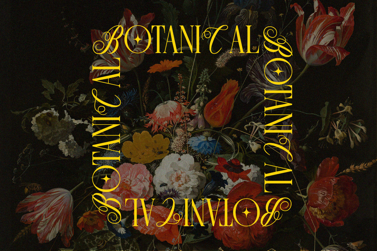 last-royal-stylish-serif-font-say-studio-5.png