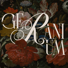 last-royal-stylish-serif-font-say-studio-8.png