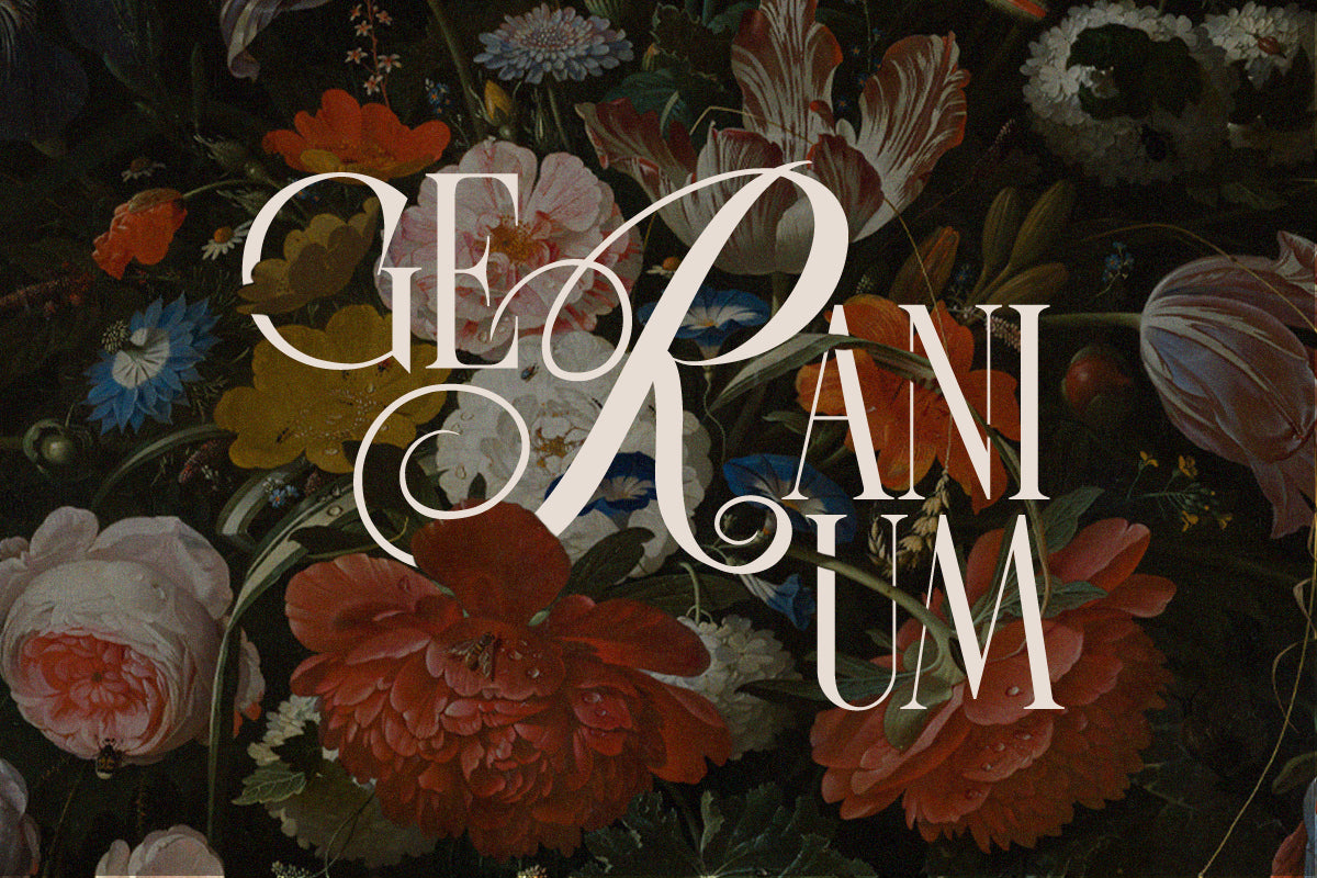 last-royal-stylish-serif-font-say-studio-8.png