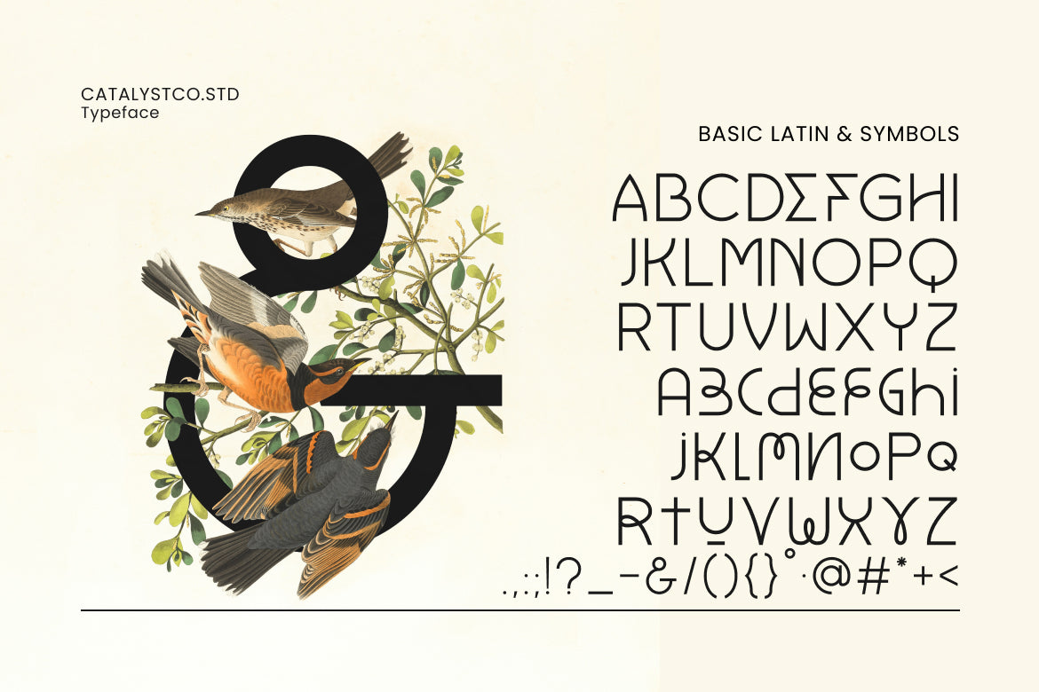 launry-light-sans-serif-typeface-font-catalystco-studio-4.jpg