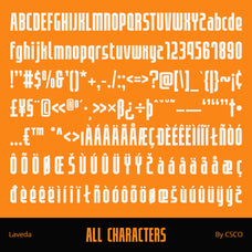 laveda-bold-sans-serif-craft-supply-co-8.jpg