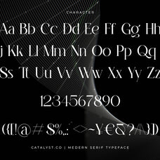 lawsin-modern-serif-typeface-font-catalystco-studio-2.jpg