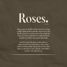 laxical-elegant-serif-font-family-for-branding-wedding-and-editorial-design-unknown-creator-4.jpg