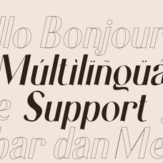 laxical-elegant-serif-font-family-for-branding-wedding-and-editorial-design-unknown-creator-5.jpg
