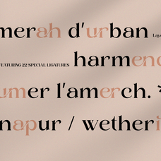 layer-valenas-elegant-ligature-serif-font-say-studio-6.png