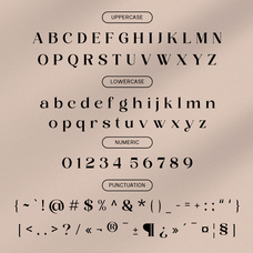 layer-valenas-elegant-ligature-serif-font-say-studio-9.png