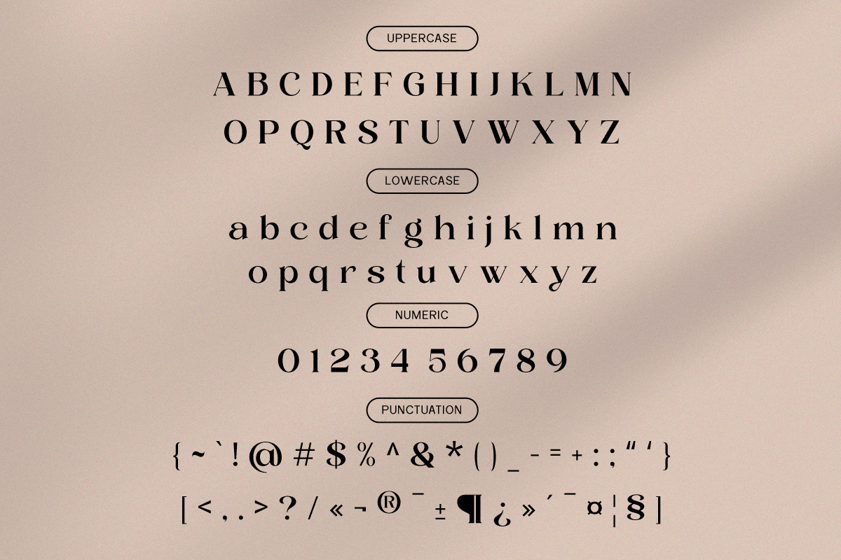 layer-valenas-elegant-ligature-serif-font-say-studio-9.png