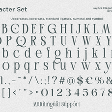 layoce-luxury-ligature-serif-font-say-studio-11.png