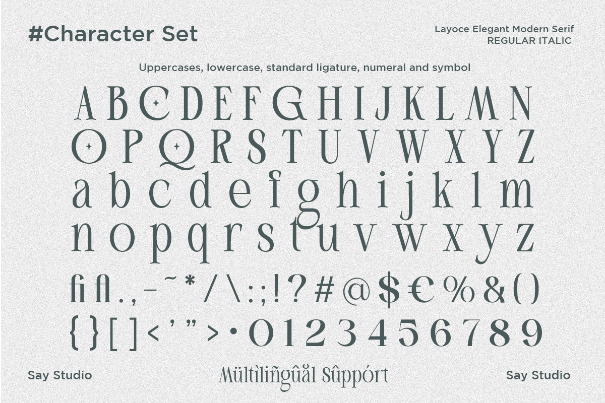 layoce-luxury-ligature-serif-font-say-studio-11.png