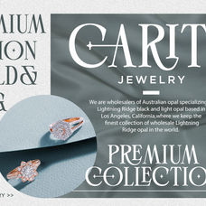 layoce-luxury-ligature-serif-font-say-studio-4.png