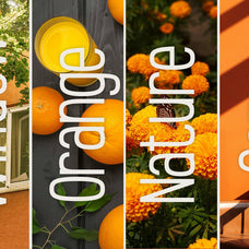leanova-condensed-font-vadova-studio-7.jpg