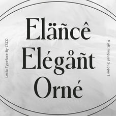 lecia-modern-serif-craft-supply-co-7.jpg