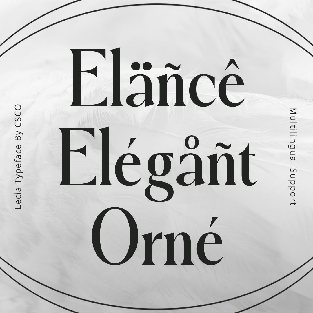lecia-modern-serif-craft-supply-co-7.jpg
