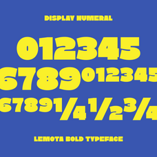 lemota-marvadesign-14.png