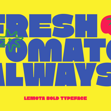 lemota-marvadesign-3.png