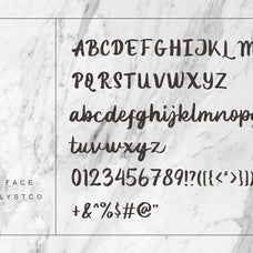 lenory-script-stylistic-font-catalystco-studio-2.jpg