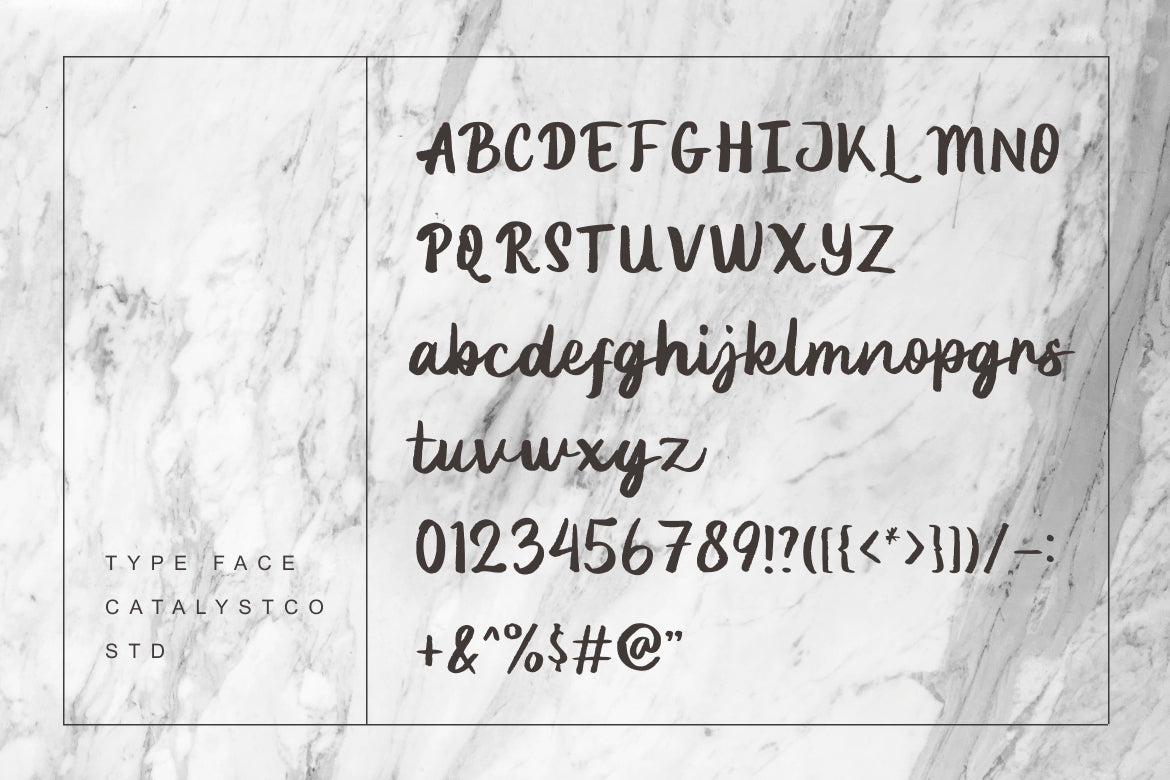 lenory-script-stylistic-font-catalystco-studio-2.jpg