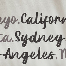 lenory-script-stylistic-font-catalystco-studio-4.jpg