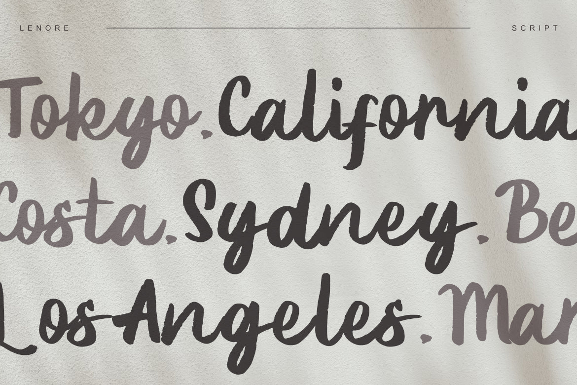 lenory-script-stylistic-font-catalystco-studio-4.jpg