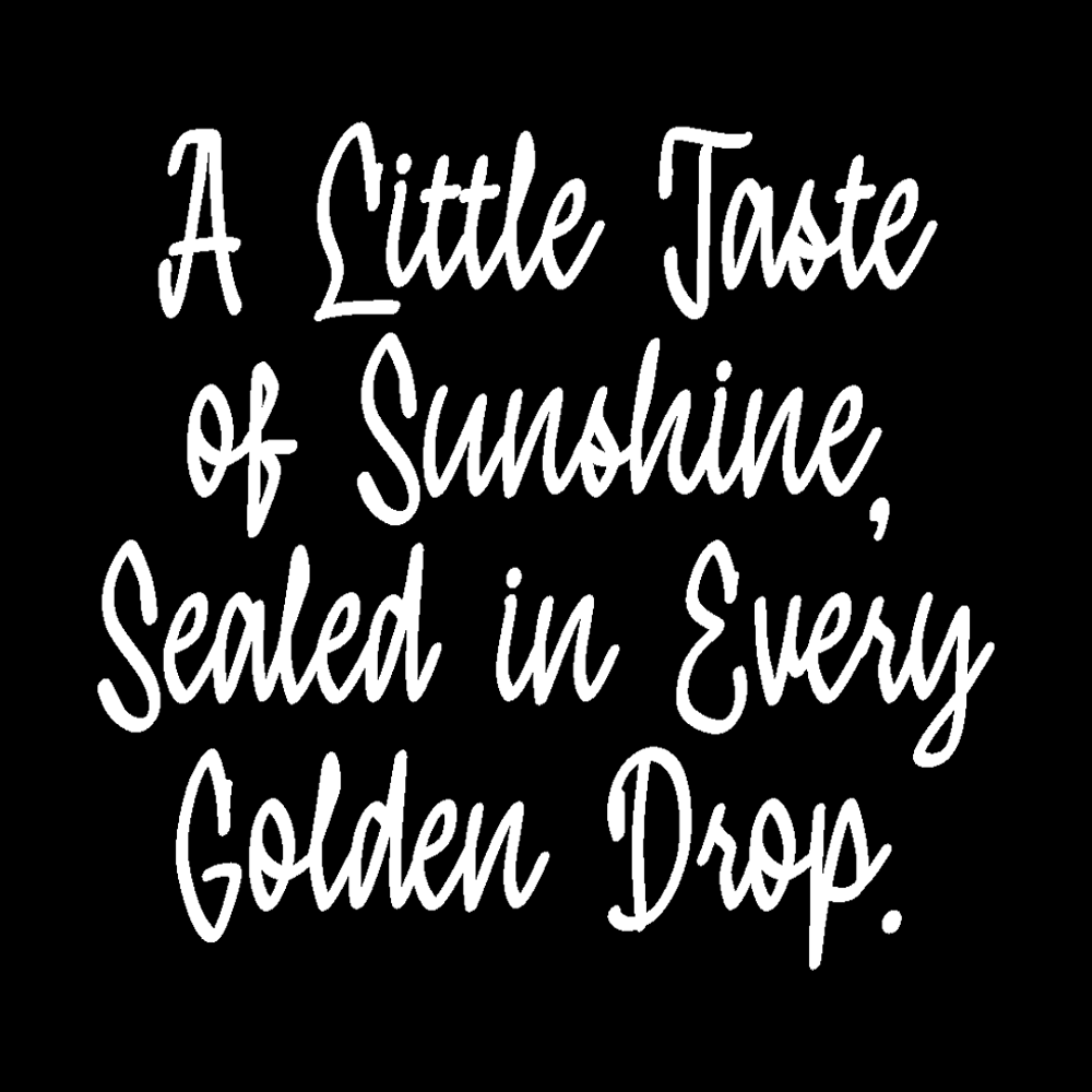 liberty-print-bold-handwritten-brush-script-font-typeparties-3.png