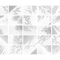 Light & Shadow Overlays Collection