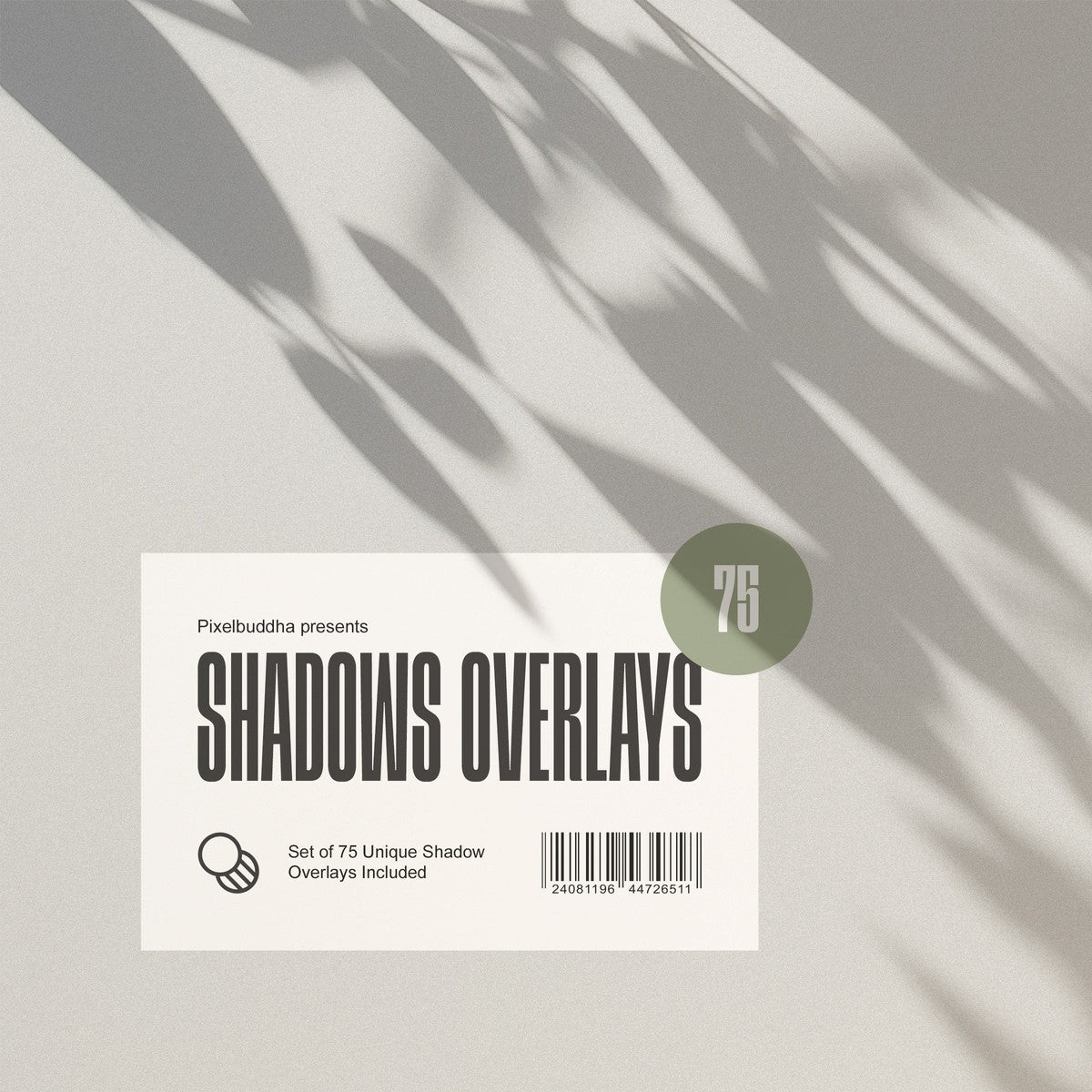 Light & Shadow Overlays Collection