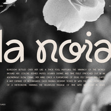 Lightshift - Funky Display Typeface