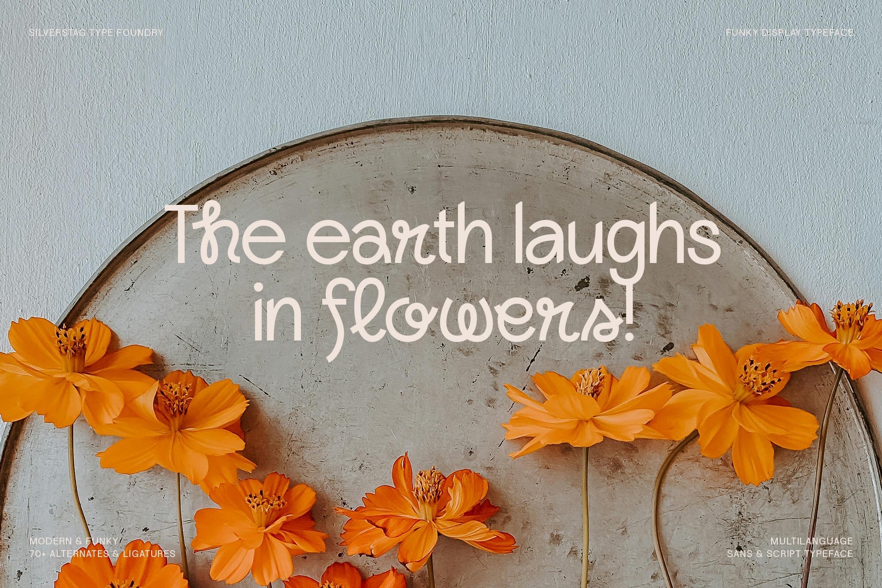 Lightshift - Funky Display Typeface