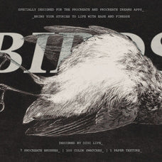 Lithography Procreate Kit | Birds