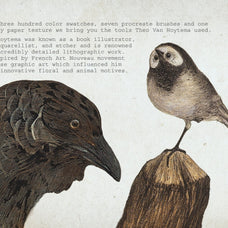 Lithography Procreate Kit | Birds