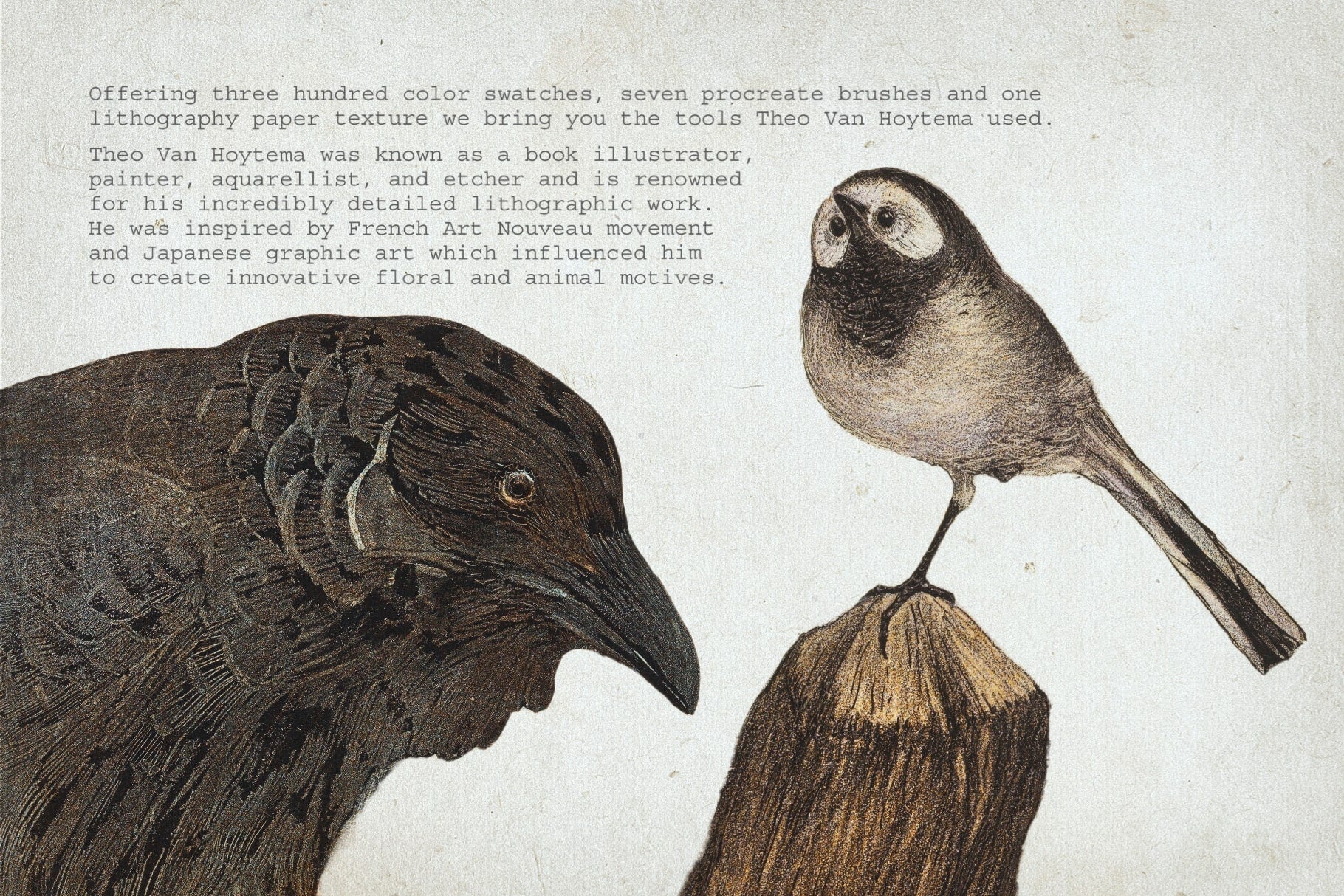 Lithography Procreate Kit | Birds