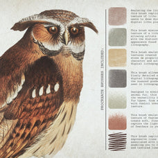 Lithography Procreate Kit | Birds