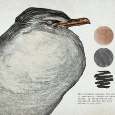 Lithography Procreate Kit | Birds