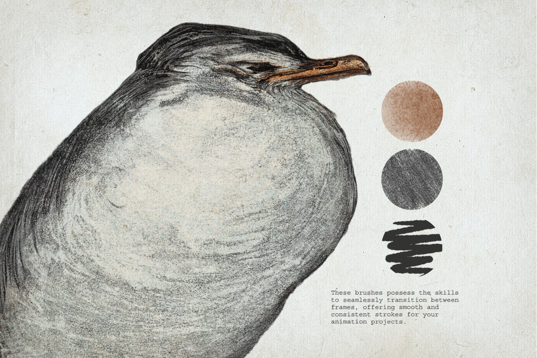 Lithography Procreate Kit | Birds