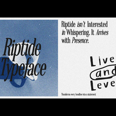 ll-riptide-retro-serif-font-lives-and-levels-13.png